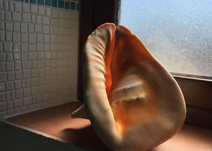 Palazzo Dei Corsari شقة فندقية تراباني